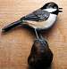 Chickadee Table Piece