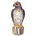 Bird-B-Gone Hawk