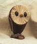 Owl Brown