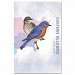 Eastern Bluebird Eco Notes