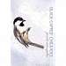 Black-Capped Chickadee Eco Notes