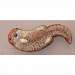 Otter Brown 7 inch brush art dcor