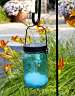 Starry Night Solar Lantern