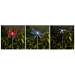 Chameleon Solar Stake Light 12 Assorted
