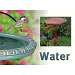Water Sign