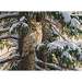 Snowy Perch Puzzle 1000 piece Puzzle