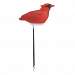 Plant Pal Winter Cardinal