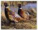 Game Birds Glass Cutting Board 12x15