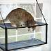 Kitty Sill Double Stack EZ Window Mount