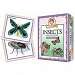 Prof Noggins Insects and Spiders