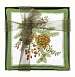 Pine Cones Gift Boxed Mug Mats