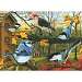 Blue Jay and Friends Puzzle 1000 piece Puzzle