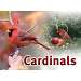 Cardinals Sign