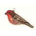 House Finch Ornament