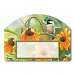 Sunflower Chickadee Yard DeSign