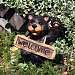 Solar Welcome Bear