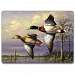 Counter Art Hardboard Table Mats