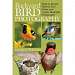 Backyard Bird Photography
