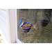 Copper Bluebird Mealworm Window Feeder
