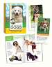 For the Love of Dogs Wild Card