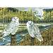Snow Owls Gathering Puzzle, 1000 piece Puzzle