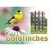 Goldfinch Sign