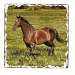 Horses Tumbled Trivet