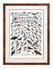Peterson's Backyard Birds of Mid-Atlantic Poster