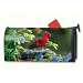 Cardinal Perch Mailwrap