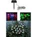 Chameleon Color Changing Solar