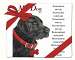 My Dog Flour Sack Towel Set of 2