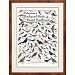 Peterson's Backyard Birds of the Desert SW Poster