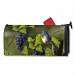 Vineyard Bluebird MailWrap