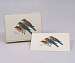 Eastern Bluebird Notecard Assortment 8 of 1 style