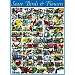 State Birds and Flowers 1000 piece Puzzle