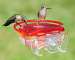 The Gem Window Hummingbird Feeder