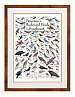 Peterson's Backyard Birds of Southeast Poster