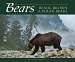 Bears-Book
