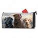 Proud Labs MailWrap