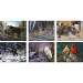 Wildlife Scenes Glass Cutting Board Assortment 12 pcs