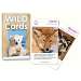 North American Mammals Wild Cards