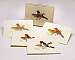 Peterson Bird Notecard Assortment II 2 each of 4 styles