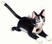 Leaping Black & White Cat Birdhouse