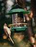 Chickadee Feeder