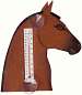 Brown Horse Head Small Window Thermometer