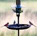 Seed Buster Tray Feeder and Seed Catcher