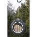 Wilbur's Woodpecker Wheel