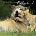 The Funny Thing About Fatherhood