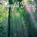 Tranquil Piano CD