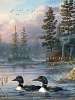 Autumn Air Loons LED Wall Art